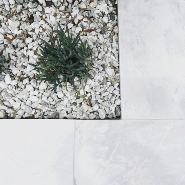 Antarctic White