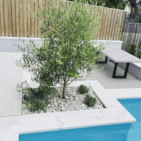 Antarctic White
