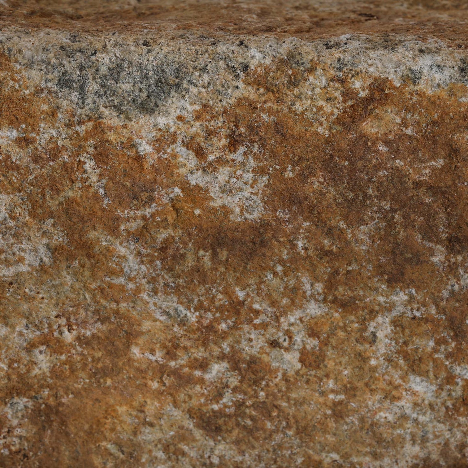 Montana Belt Stone Brown